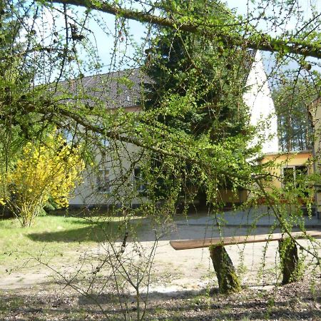Suedseite Apartment Nossentiner Huette Exterior photo